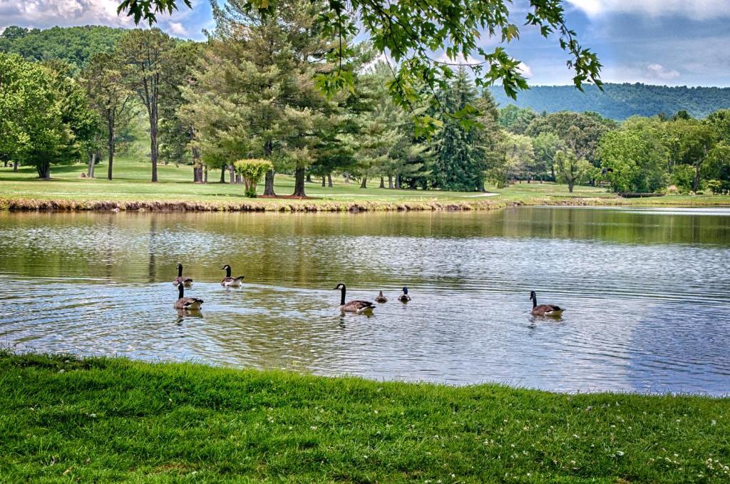 Etowah Valley Golf & Resort エクステリア 写真